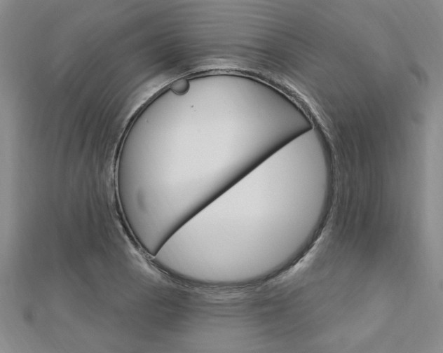 X0000113021129200908271028