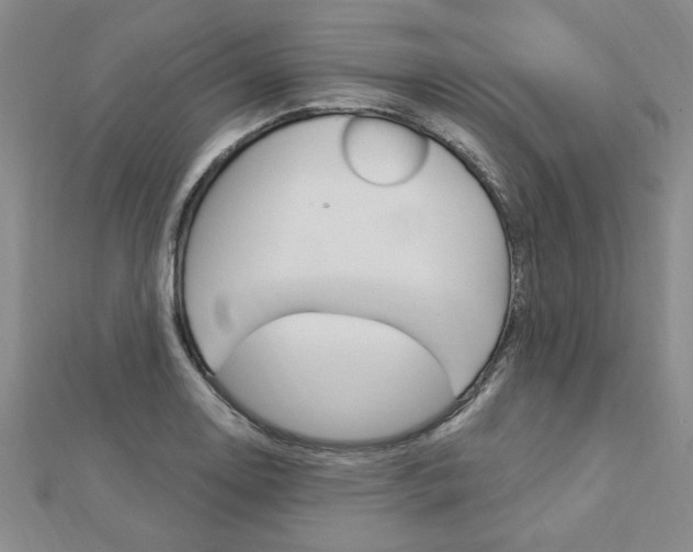 X0000113021130200908271028