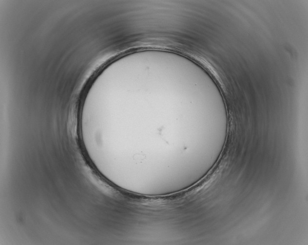 X0000113021131200908271028