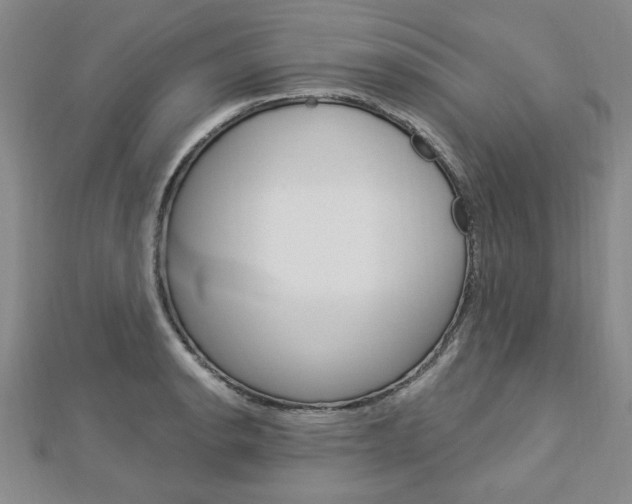 X0000113021134200908271028