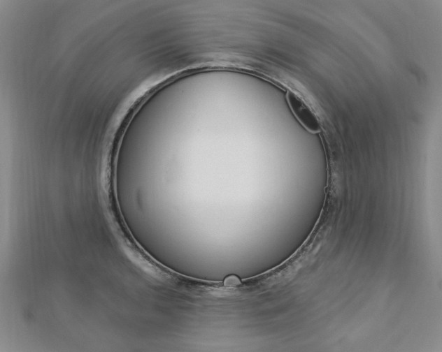 X0000113021136200908271028