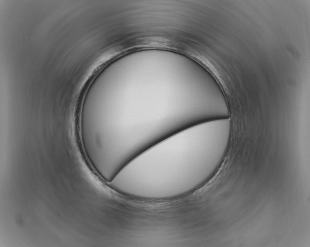 X0000113021139200908271028