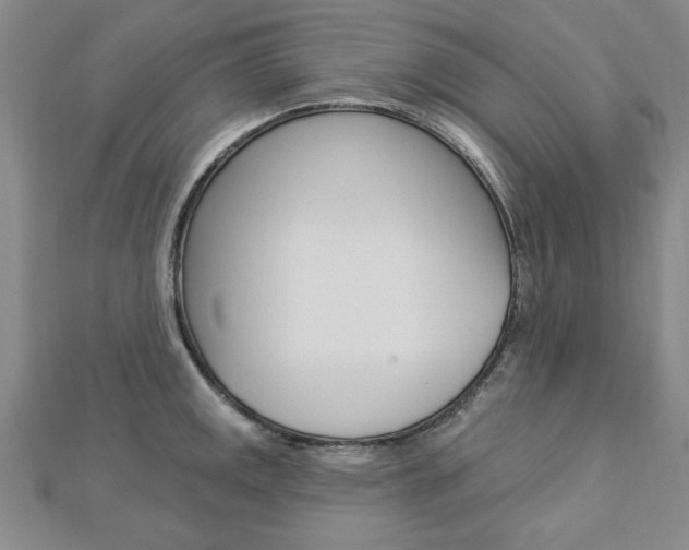X0000113021141200908271028