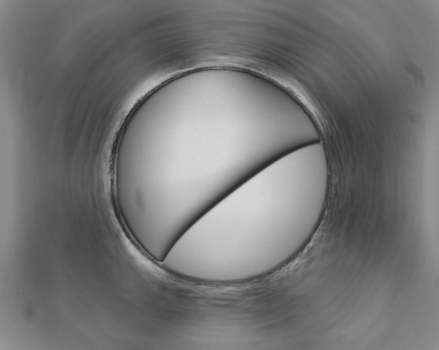 X0000113021143200908271028