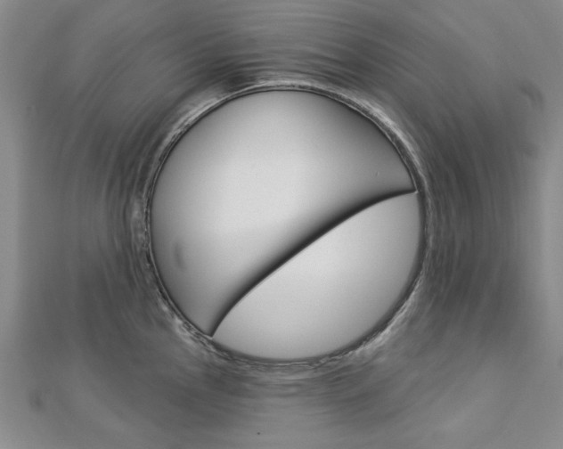 X0000113021145200908271028