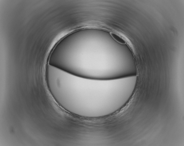 X0000113021146200908271028