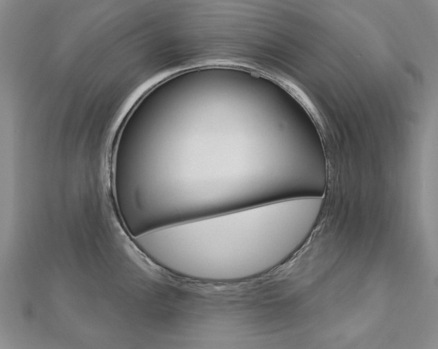 X0000113021148200908271028