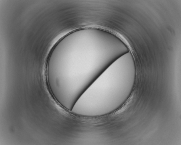X0000113021149200908271028