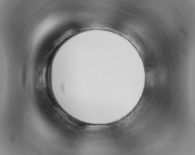 X0000113021150200908271028