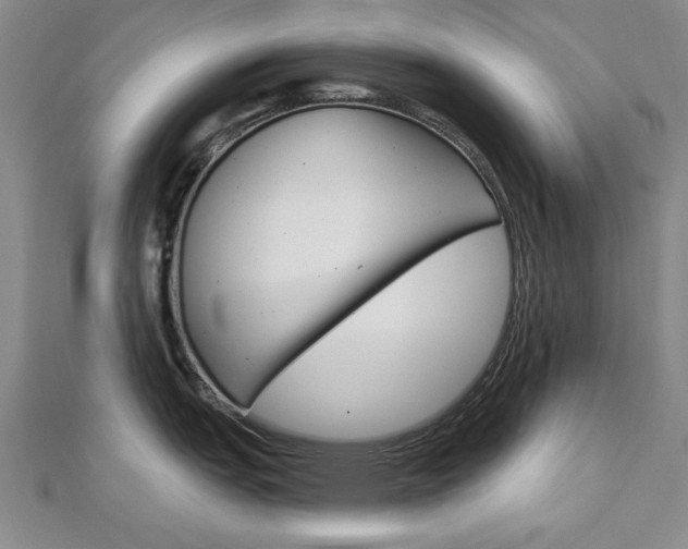 X0000113021151200908271028