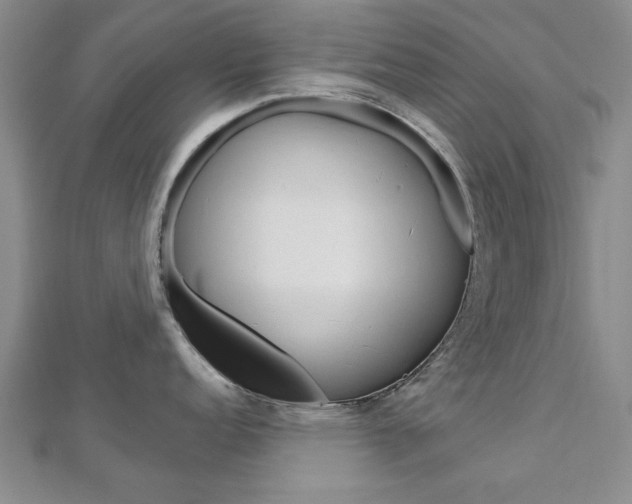 X0000113021152200908271028