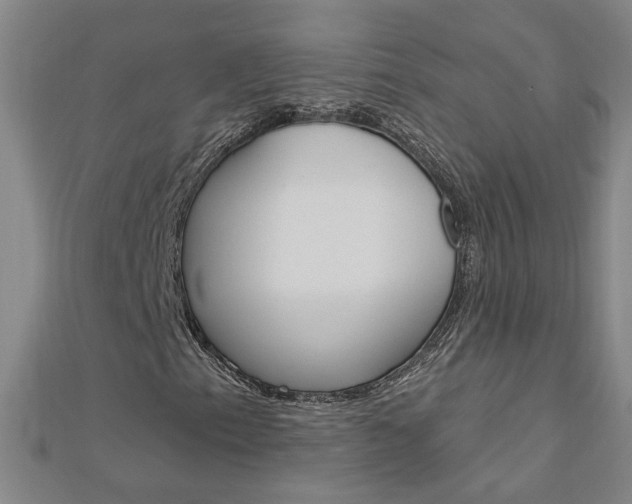 X0000113021153200908271027