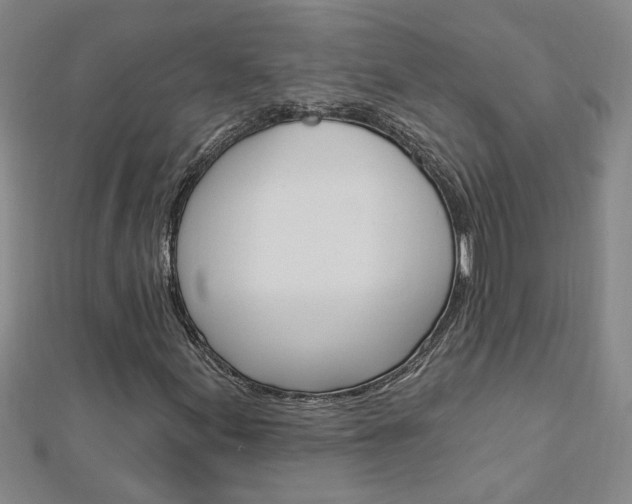 X0000113021155200908271027