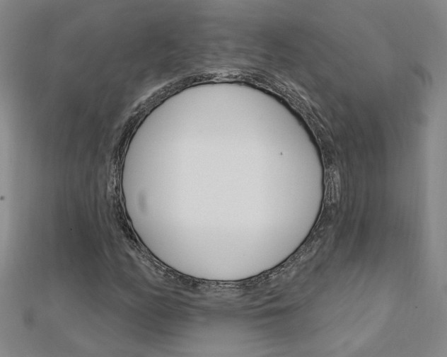 X0000113021158200908271027