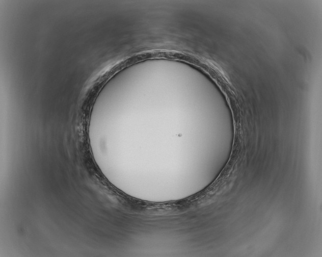 X0000113021159200908271027