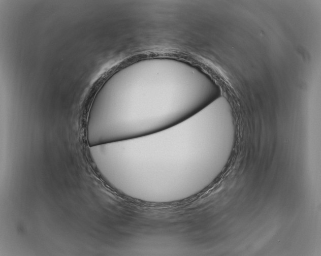 X0000113021160200908271027