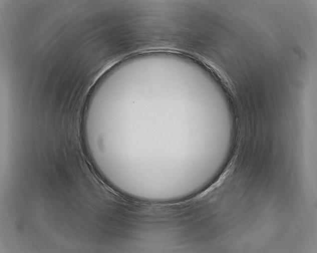 X0000113021162200908271027
