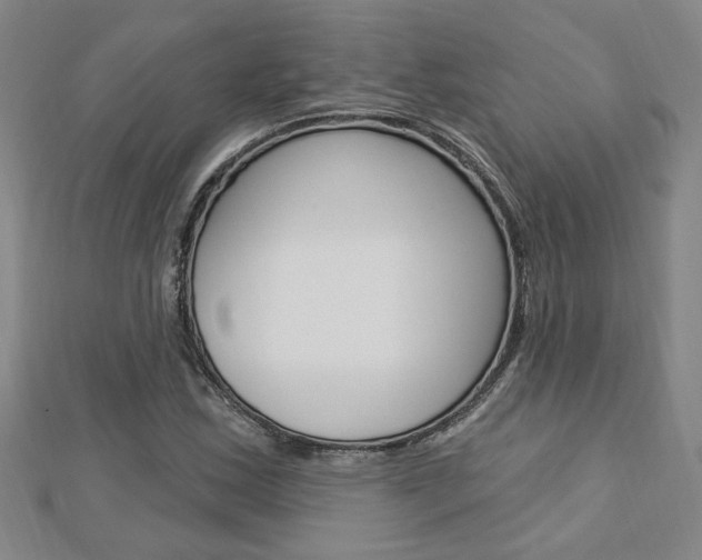 X0000113021163200908271027