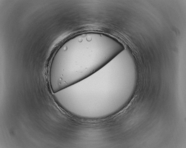 X0000113021164200908271027