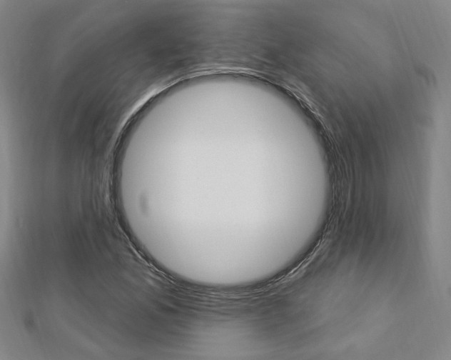 X0000113021165200908271027