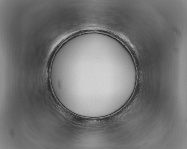 X0000113021167200908271027