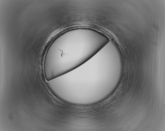 X0000113021168200908271027