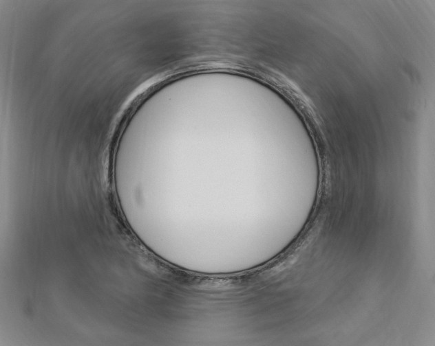 X0000113021174200908271027