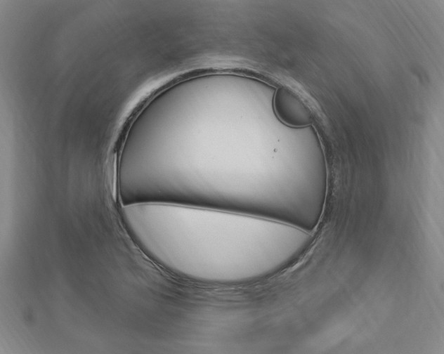 X0000113021175200908271027