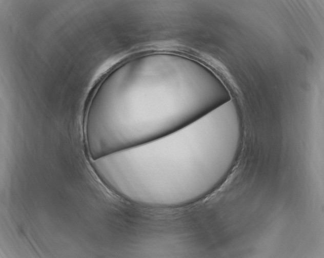 X0000113021176200908271027