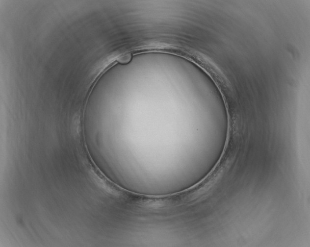 X0000113021177200908271027
