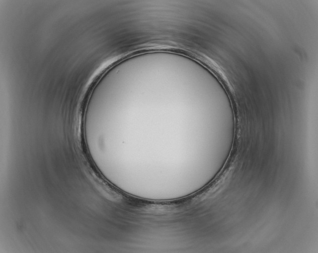 X0000113021179200908271027