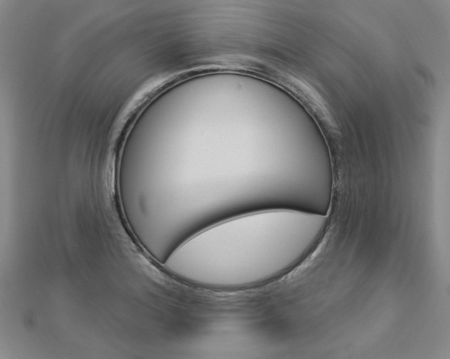 X0000113021180200908271027