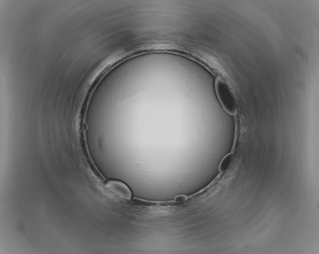 X0000113021181200908271027