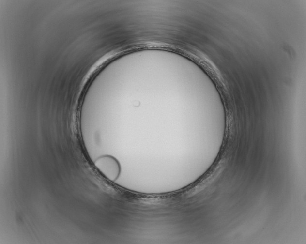 X0000113021182200908271027