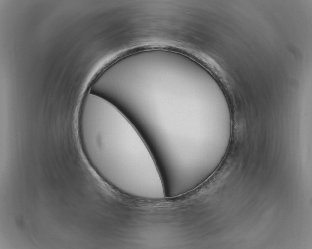 X0000113021183200908271027