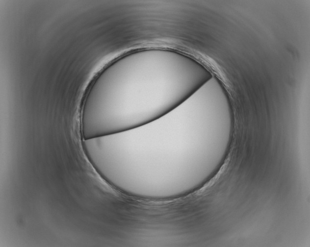X0000113021184200908271027