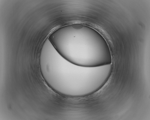 X0000113021185200908271027