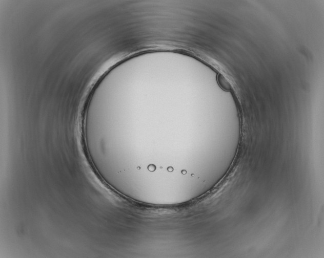 X0000113021187200908271027