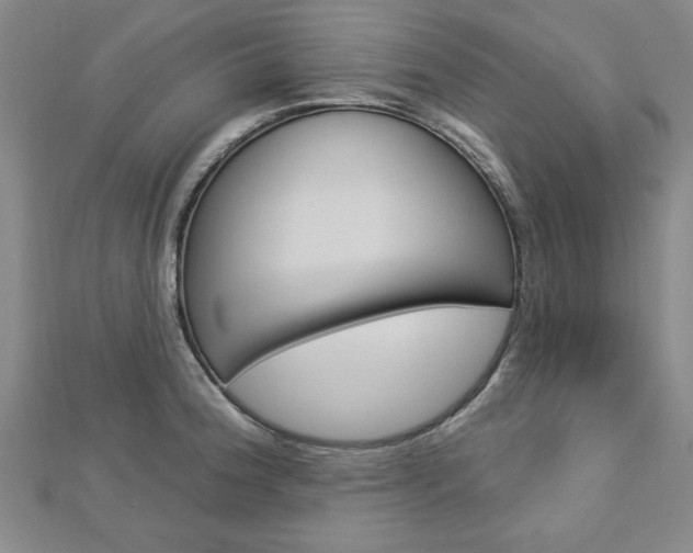 X0000113021188200908271027