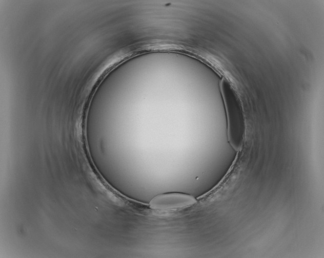 X0000113021189200908271027