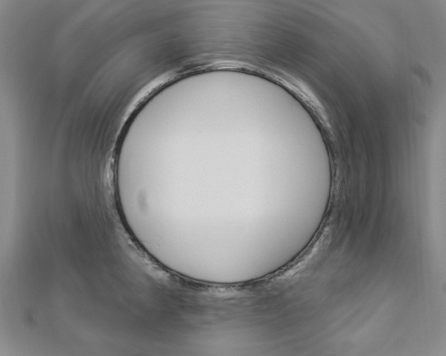 X0000113021190200908271027