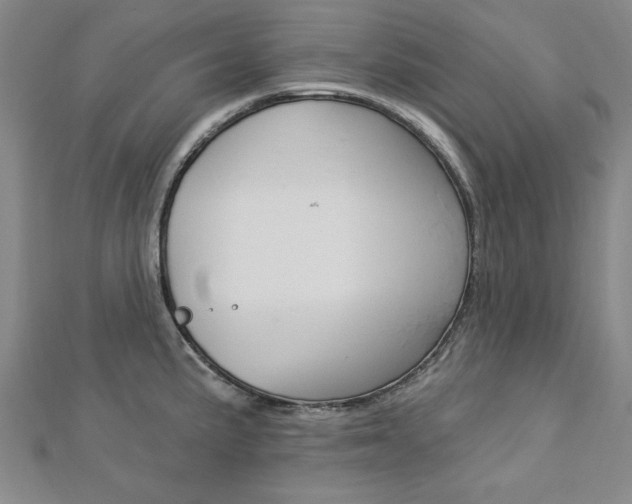 X0000113021191200908271027
