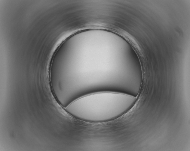 X0000113021192200908271027
