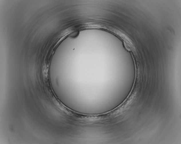 X0000113021193200908271027