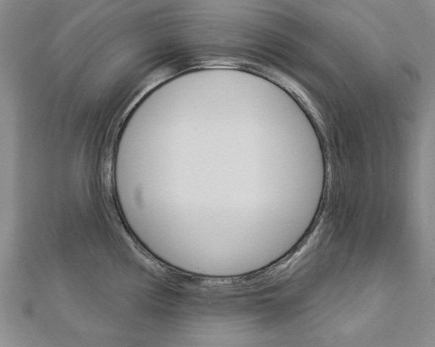 X0000113021194200908271027