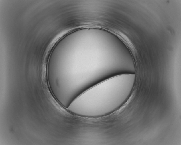 X0000113021196200908271027