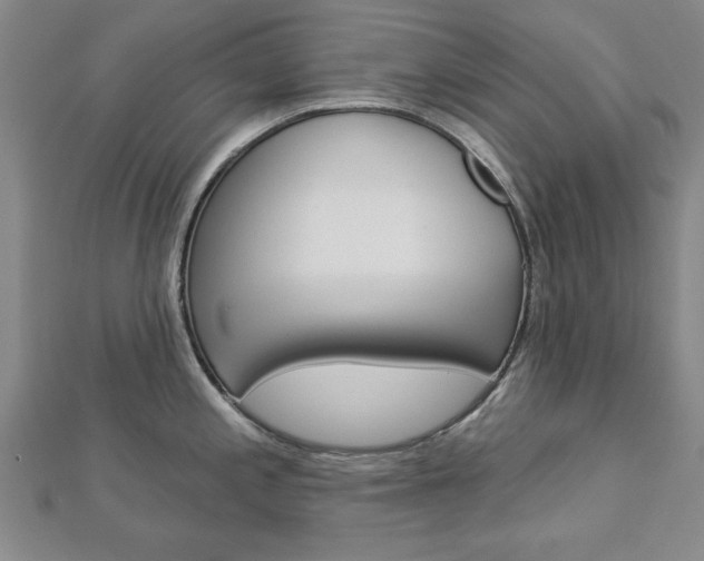X0000113021197200908271027