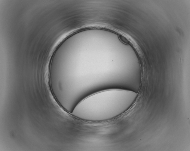 X0000113021199200908271027