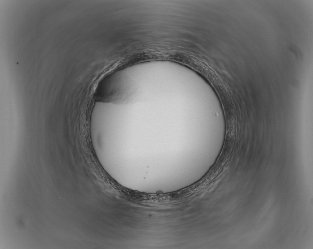 X0000113021201200908271026