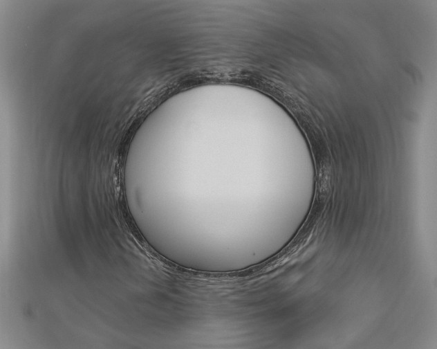 X0000113021202200908271026